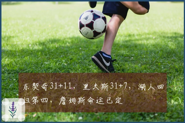 东契奇31+11，里夫斯31+7，湖人回归第四，詹姆斯命运已定