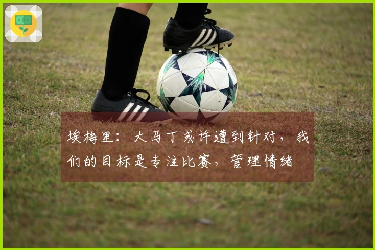 埃梅里：大马丁或许遭到针对，我们的目标是专注比赛，管理情绪